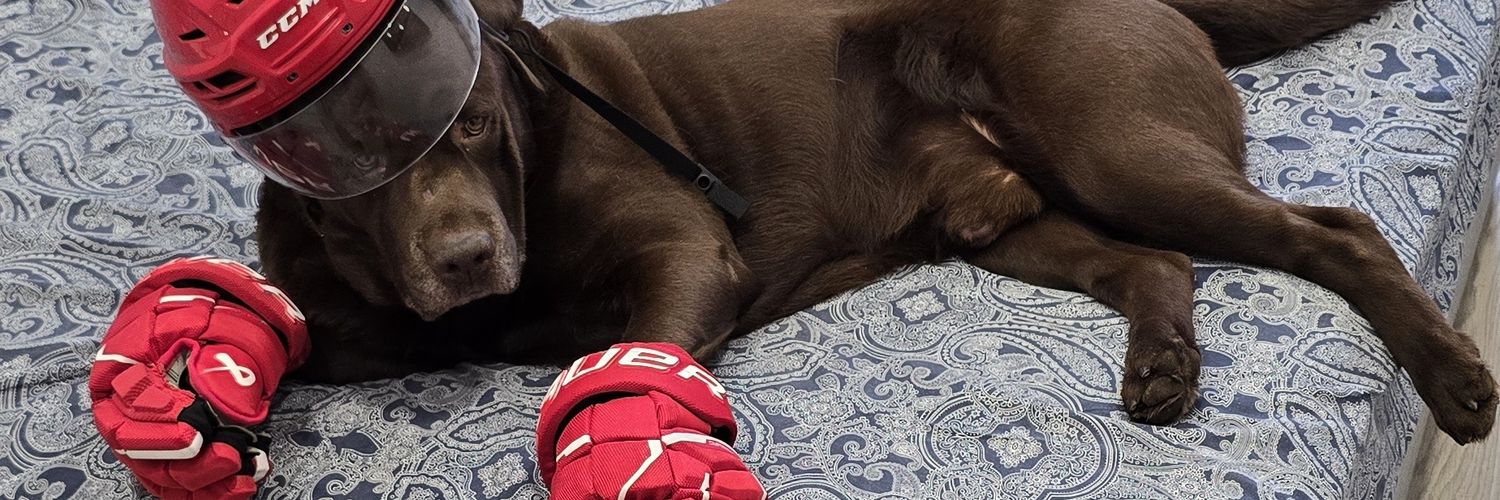 Хоккеем не интересуюсь! banner