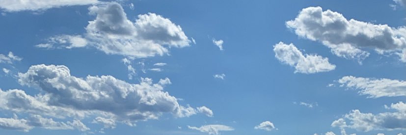 mariamckinnon_'s profile banner image