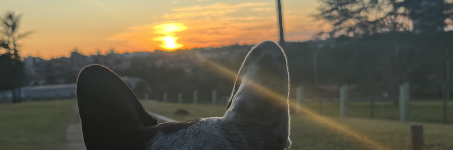AlbertoPrzMtz's profile banner image