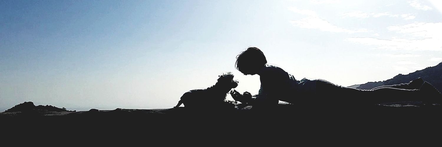 pekitta12's profile banner image