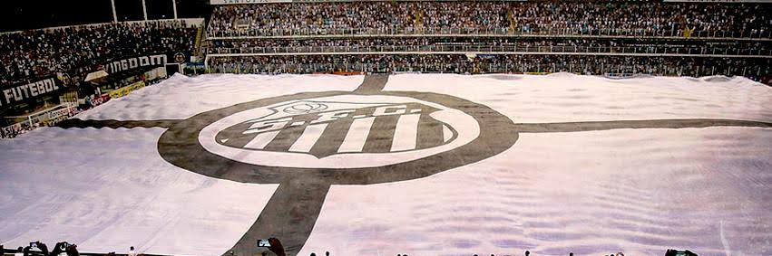 paulo bevolo banner