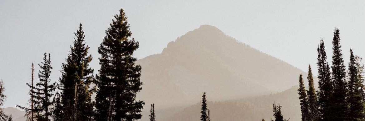 sandy_ute's profile banner image