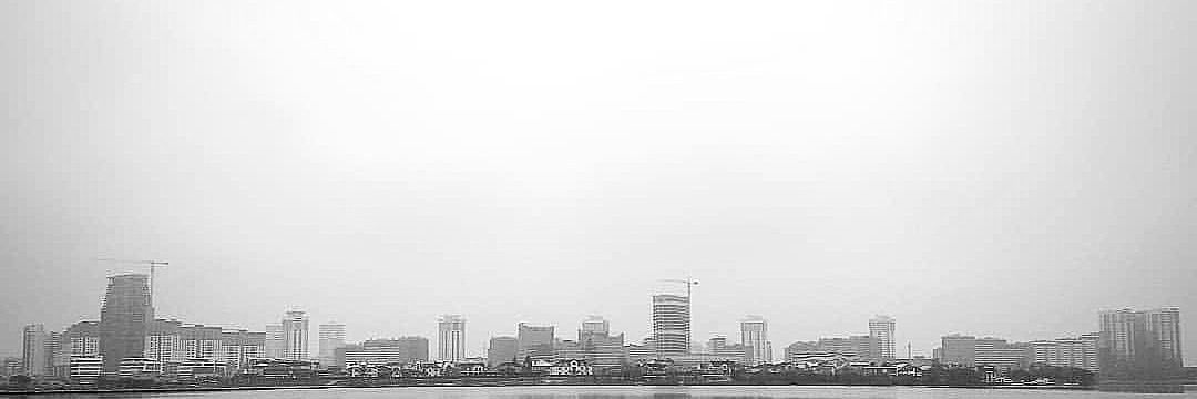 zedleek banner