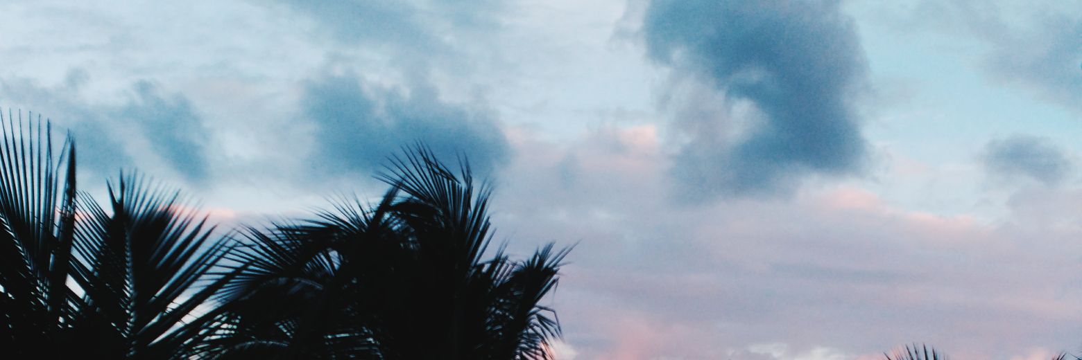Jodieramnath's profile banner image