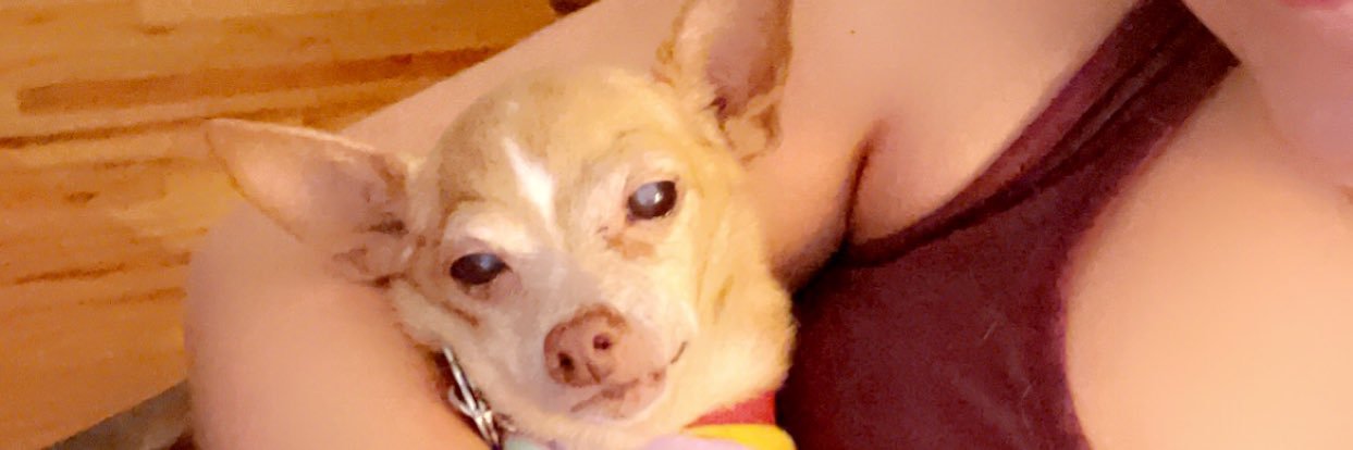 gretchsofetchh's profile banner image