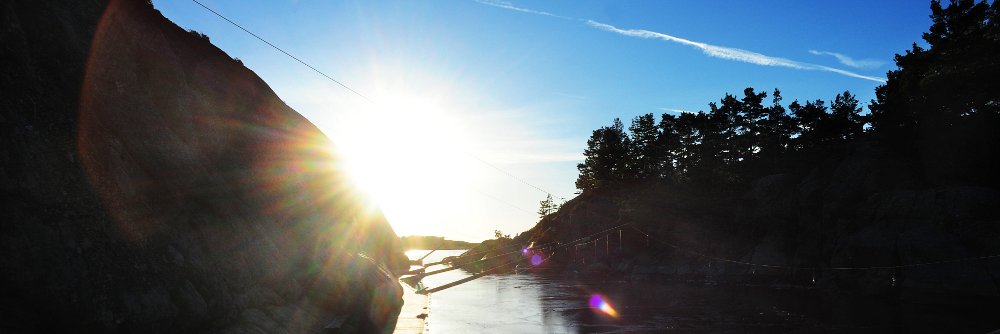 hafse's profile banner image