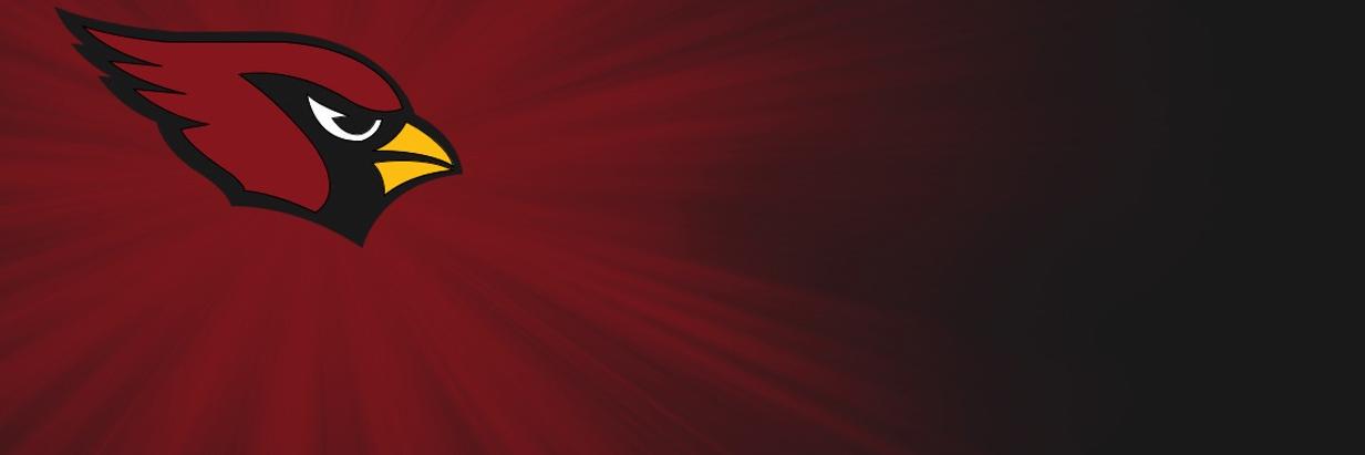 DiamondBackPain's profile banner image