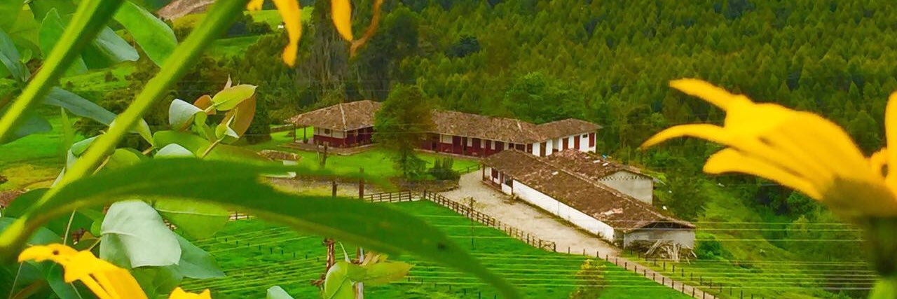 Maria Antonia Hoyos banner