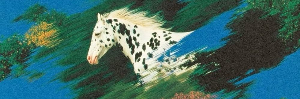 zogonchn's profile banner image