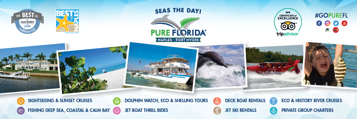 GoPureFL's profile banner image