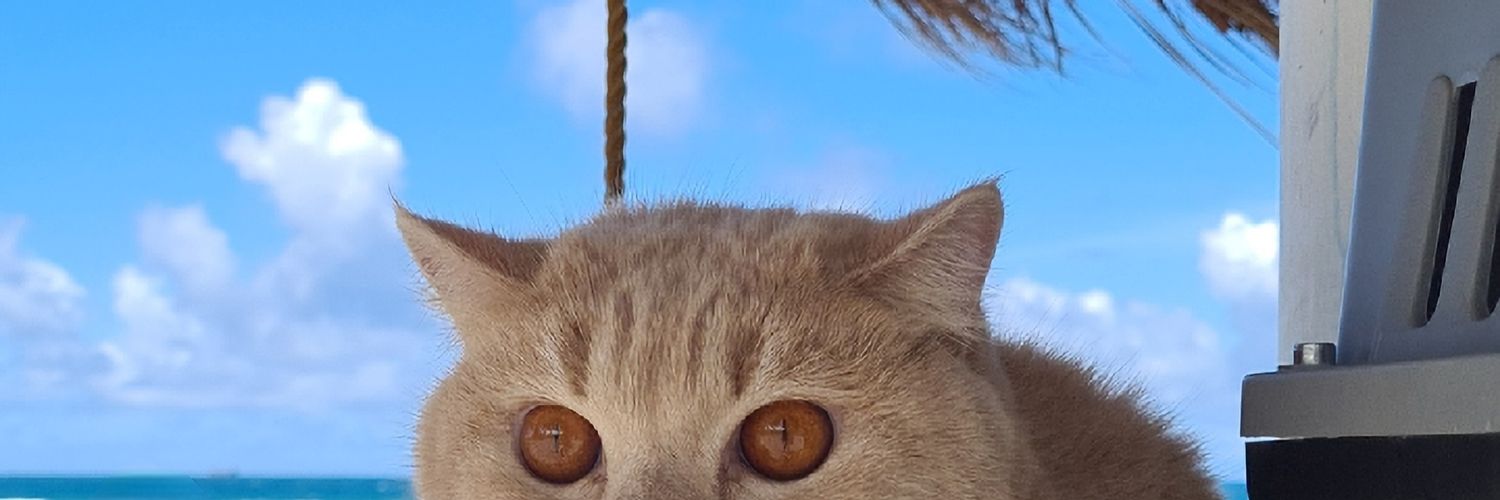 EdleneTheCamel's profile banner image