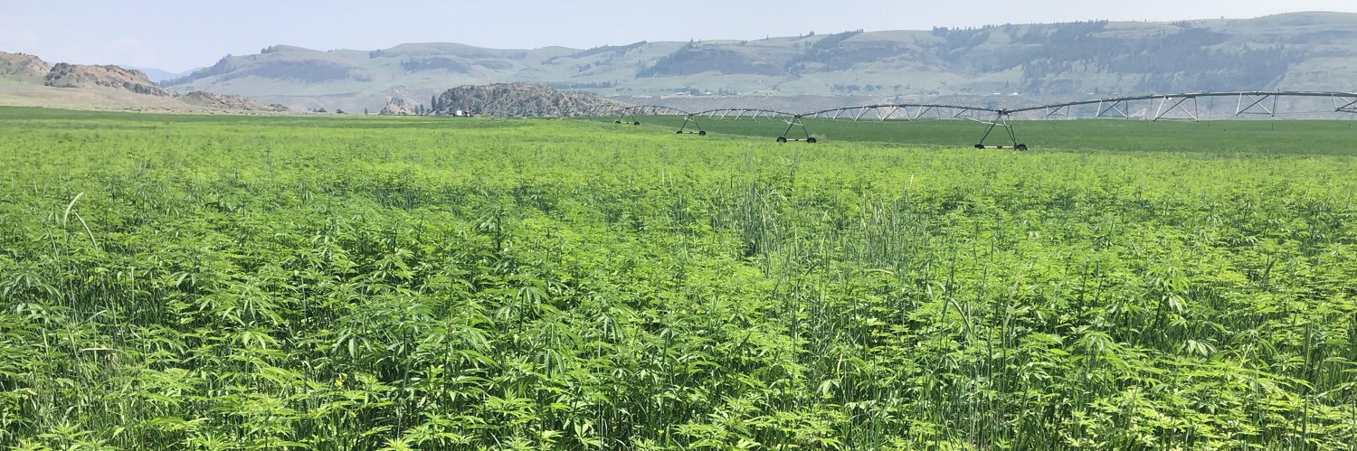 Anders Taylor banner