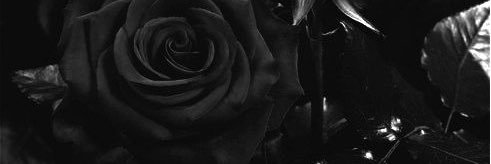thelockween's profile banner image