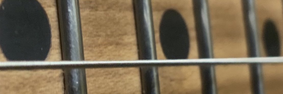 abarkshighhorse's profile banner image
