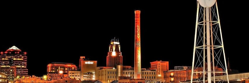 𝚃𝙷𝙴 𝚂𝙽𝙾𝚁𝚃𝙸𝙽𝙶 𝙱𝚄𝙻𝙻 banner