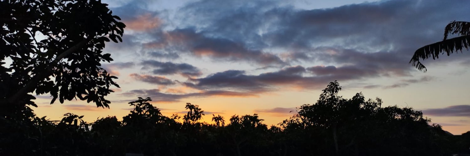 Lauradpg7's profile banner image
