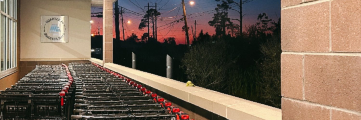 electric gynecologist banner