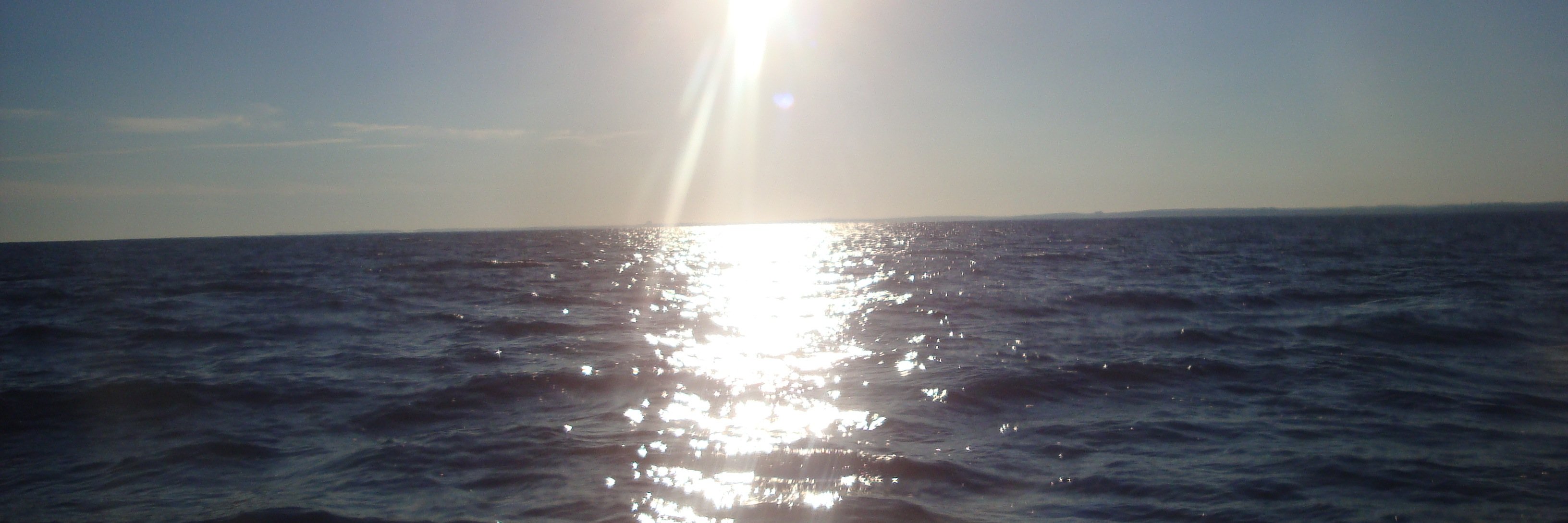 Angie411's profile banner image