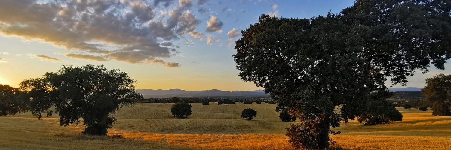 MAKSANSE's profile banner image