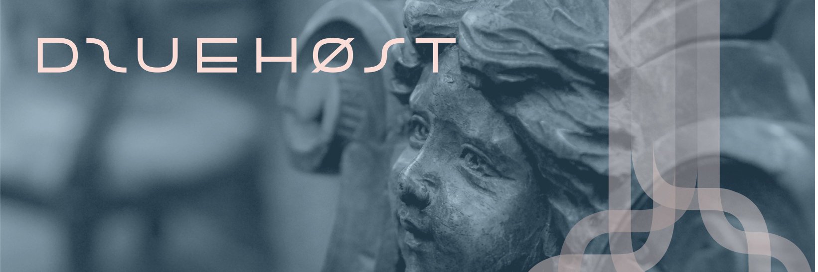Druehost's profile banner image