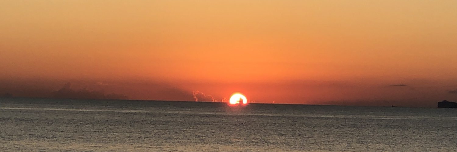 mdssantini's profile banner image