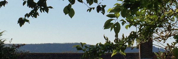 Emm Profile Banner