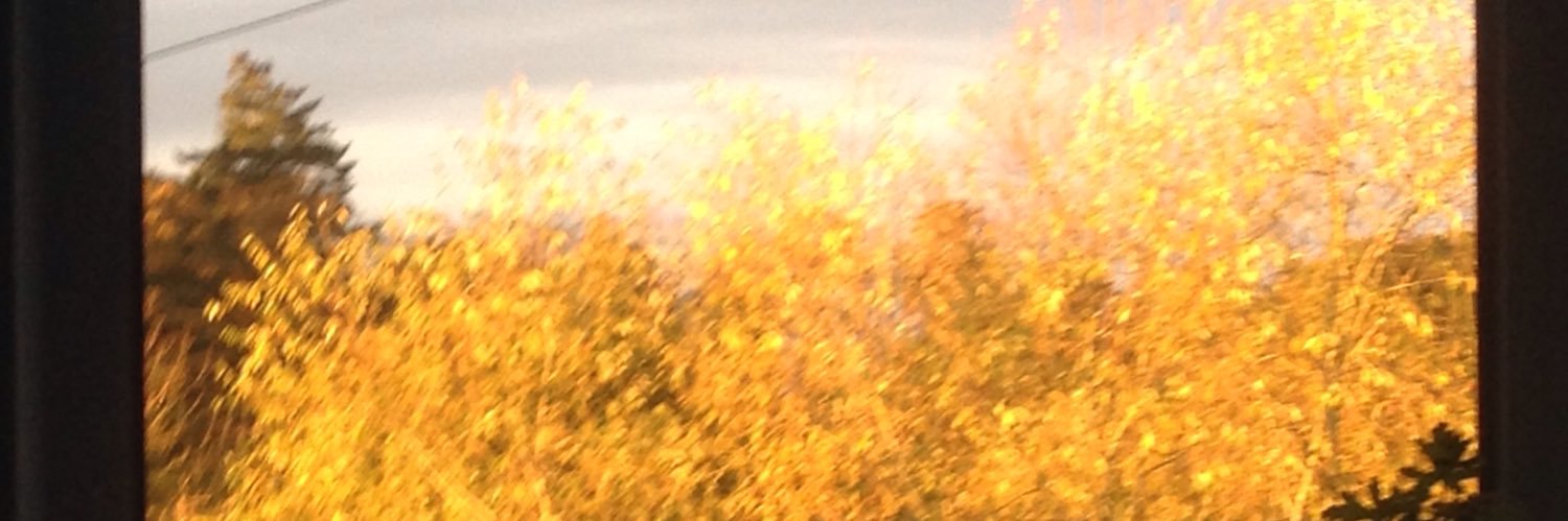 LW_Art's profile banner image