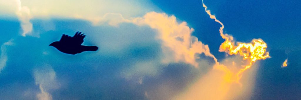 antmichael91's profile banner image