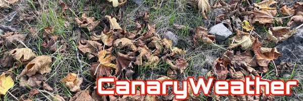 _canaryweather Profile Banner