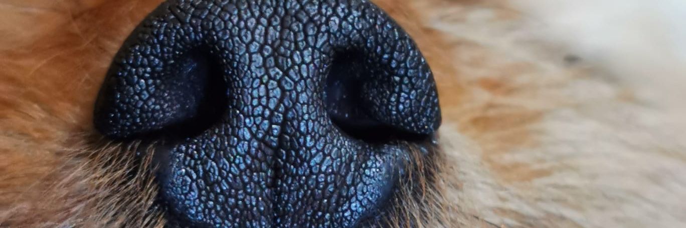 liolalole's profile banner image