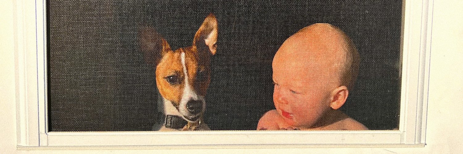 macey_joe's profile banner image