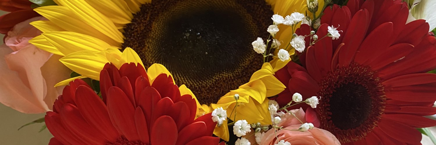 DenisseS08's profile banner image