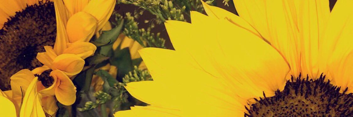 Ambitiouslouee's profile banner image