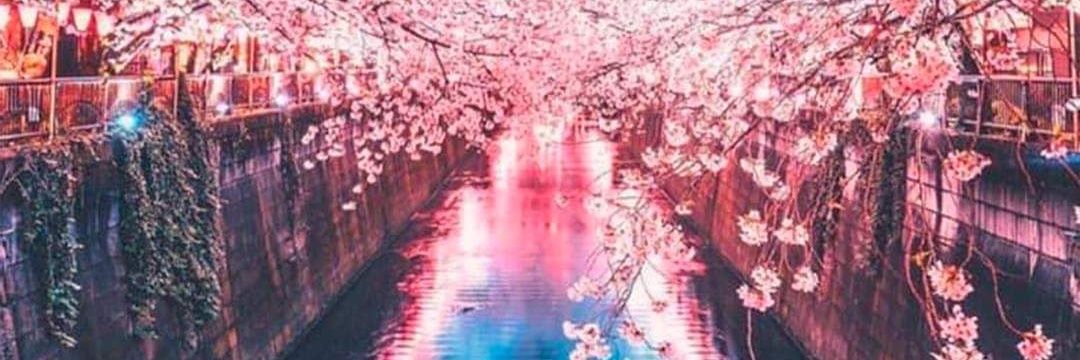LucyKo08's profile banner image