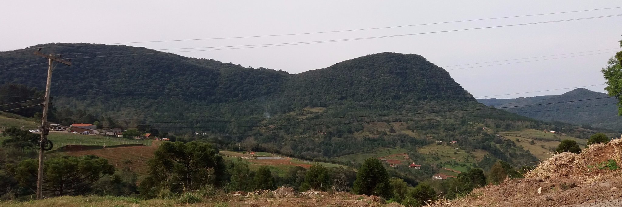 Danilo Reis banner