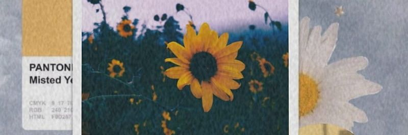 ruuthhuynh's profile banner image