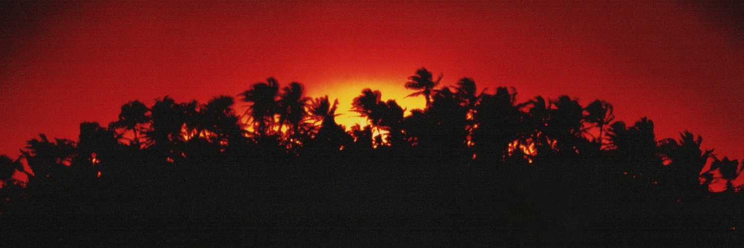 fakeplasticmax's profile banner image