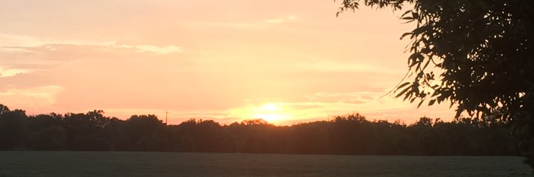 Swagonseller's profile banner image