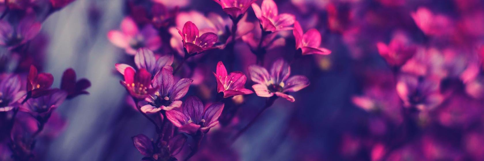 MostafaSayyedi's profile banner image