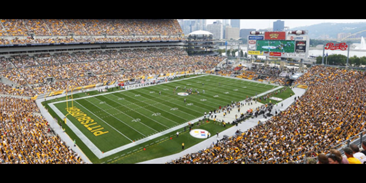 Jack Schell banner