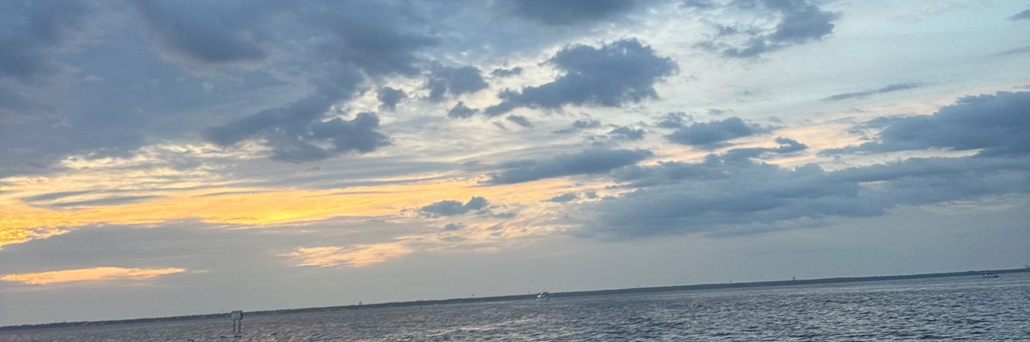 sophia_werner's profile banner image