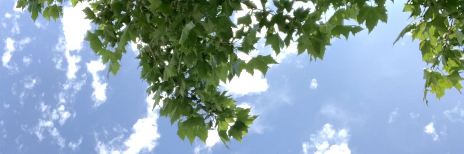 karlaisapanda's profile banner image