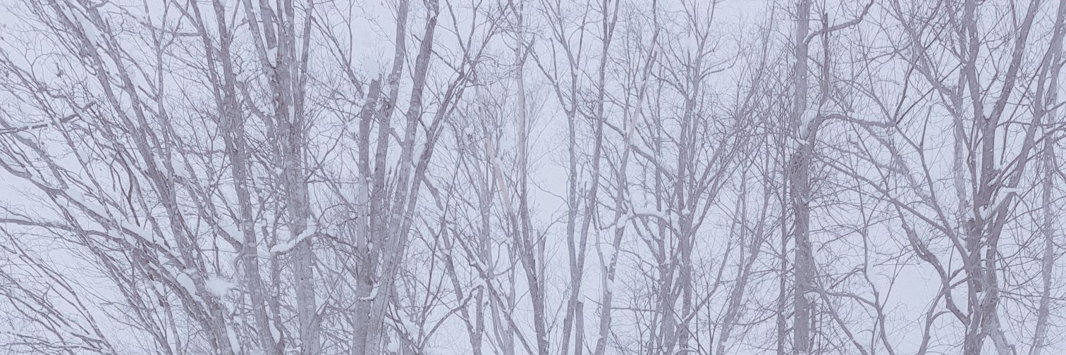 cesz_sha's profile banner image