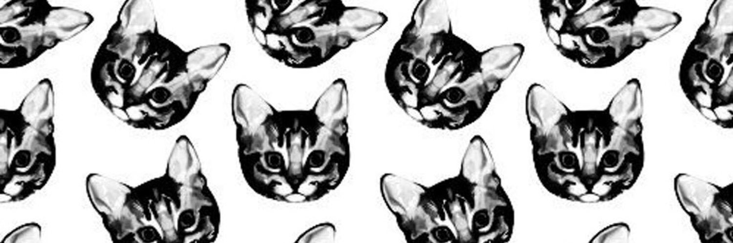 Saruzki's profile banner image