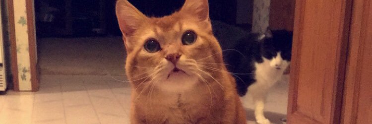 LeeAlly36's profile banner image