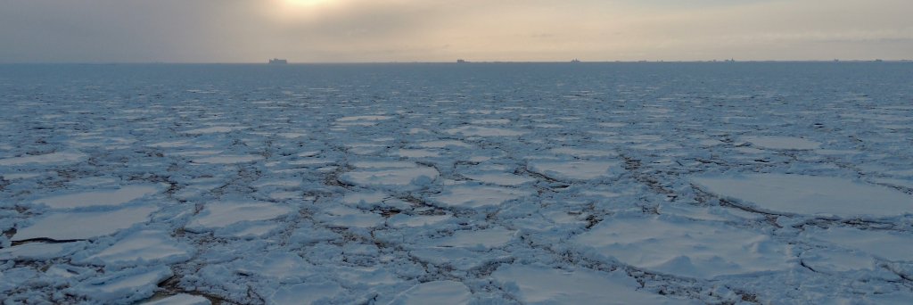 Dr Louise Biddle banner