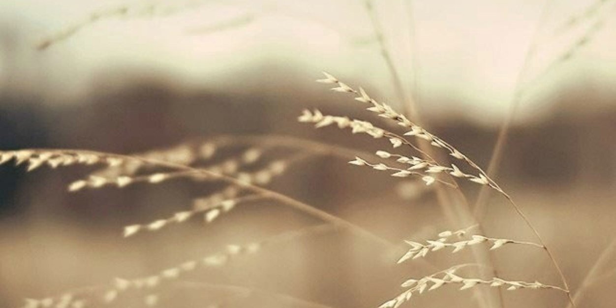 Usluselin_'s profile banner image