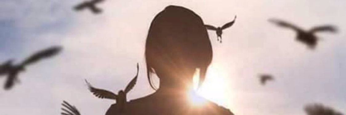wamdha33's profile banner image