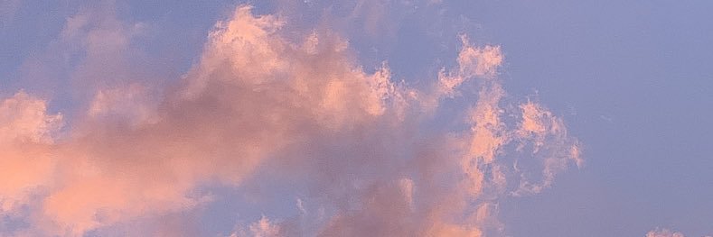 AmparoGoitia4's profile banner image