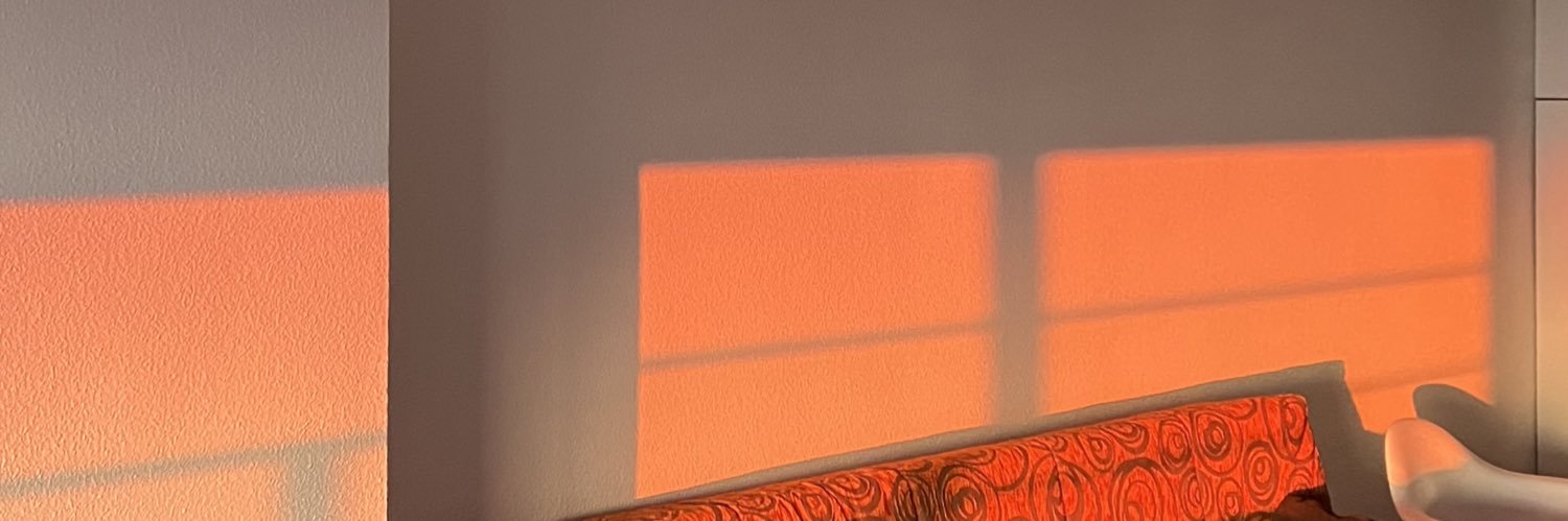 LuciiaFS's profile banner image